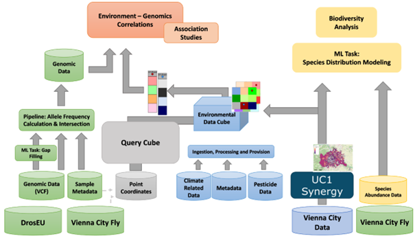 WorkflowDiagram